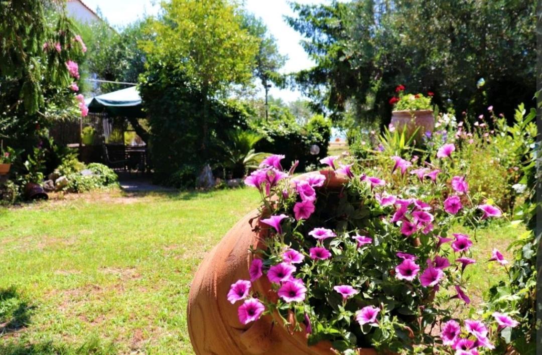 House By The Sea 2 Apartment Nea Iraklitsa Екстериор снимка